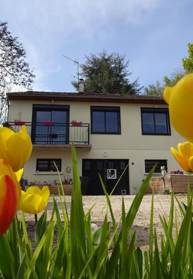 Chez Flo Et Marc Apartamento Chouzy-sur-Cisse Exterior foto