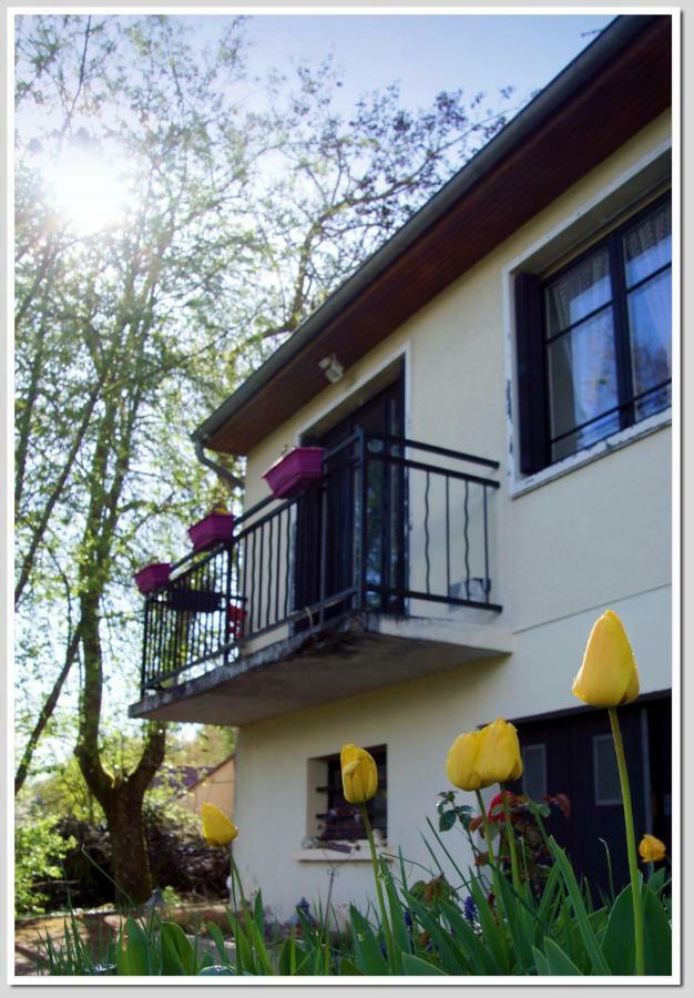 Chez Flo Et Marc Apartamento Chouzy-sur-Cisse Exterior foto